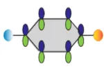 Molecular Jigsaws