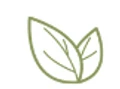 Molluscum logo