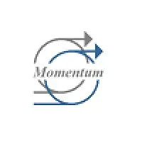 Momentum FPD Services logo