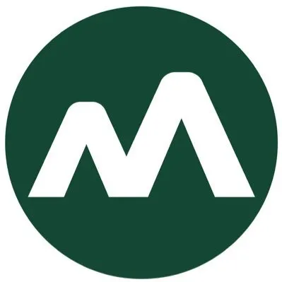Money View logo