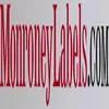 Monroneylabels.com logo