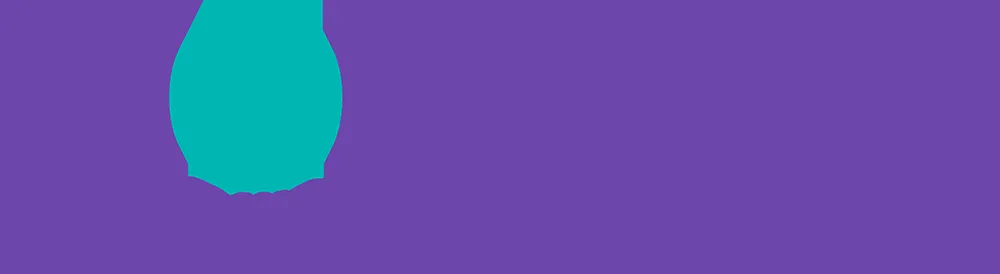 Monster Government Solutions logo