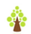 Montessori Materials