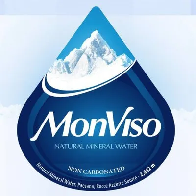 MonViso logo