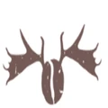 Moose Coffee logo