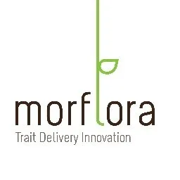 Morflora logo