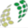 Mosaic Global