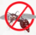 Mosquito Control System