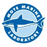 Mote logo
