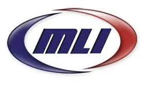 Mother Lode Internet logo