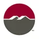 Mountain Secure Systems logo