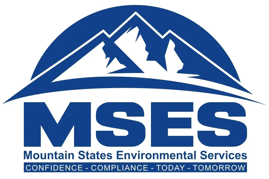 MSES logo