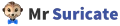 Mr Suricate logo