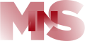 MSIN logo