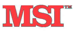 MS INTERNATIONAL logo