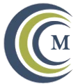 Mspring Infotech
