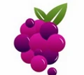 Mulberry Solutions