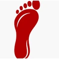My Shock Sox logo