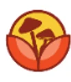 MycoSteps