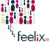 Feelix logo