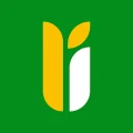 MyRice