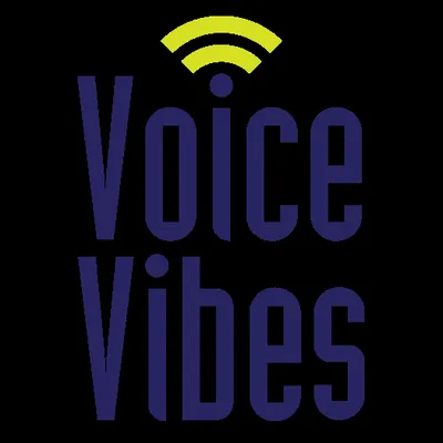 VoiceVibes logo