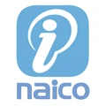 Naico Information Technology Services logo
