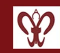 Nair Technologies Pvt Ltd - India
