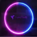 NAITIVE logo