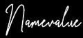 NAMEVALUE logo
