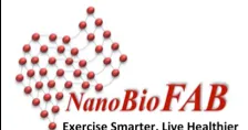 Nanobiofab logo