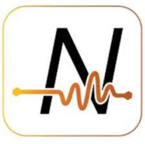 Nanoprecise logo