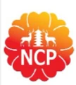 Nanto Capital Partners logo