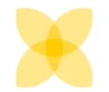 NAOS Stars logo