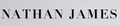 Nathan James logo