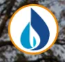 National Fuel logo