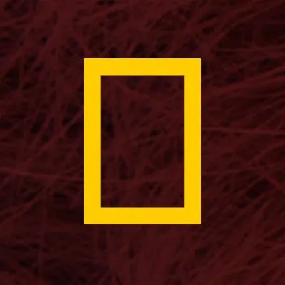 National Geographic logo