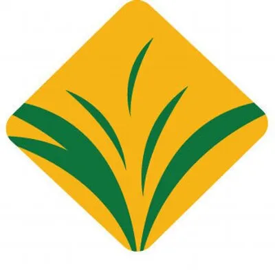 National Starch logo