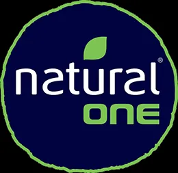 Natural One logo