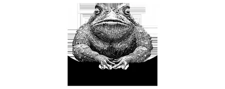 Natterjack logo