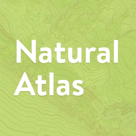 Natural Atlas logo