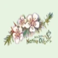 Nature Oils by Nanne logo