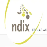 NDIX logo