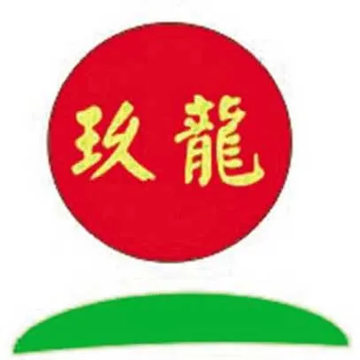 Nine Dragons Paper logo