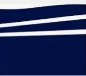 Near Space Labs logo