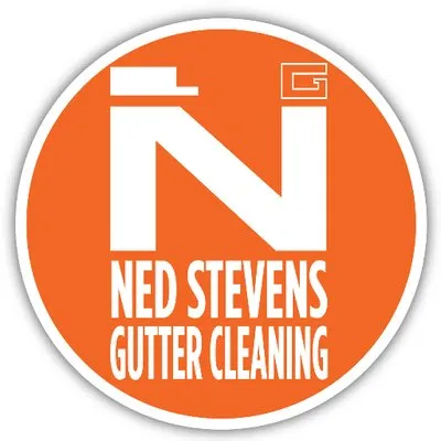 Ned Stevens logo