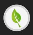 Neem Solutions