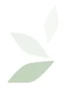 Neighborcare Health logo