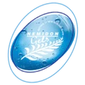 Nemidon logo