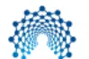 Neo-Bionica logo